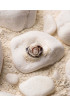 Bali Handmade Shell Rings